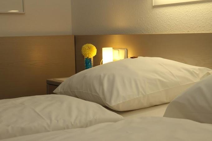 Hotel Und Gasthof Zur Laute Mindelheim Zewnętrze zdjęcie